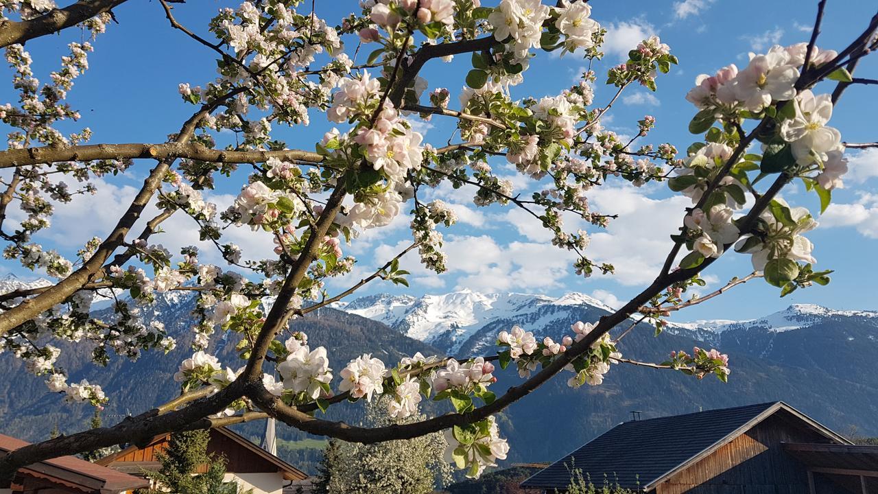 Apartment Bergverliebt Mieming Dış mekan fotoğraf